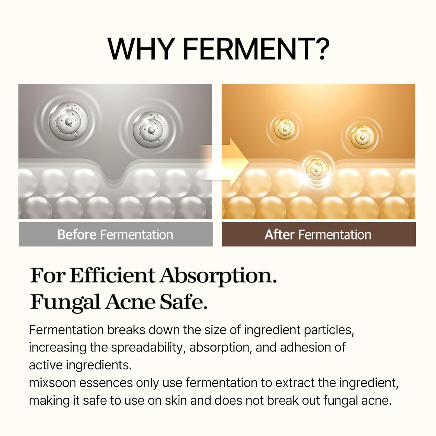 Mixsoon Bean Essence | Exfoliating & Hydrating Fermented Bean Serum for Smooth, Radiant Glass Skin - T.E.R