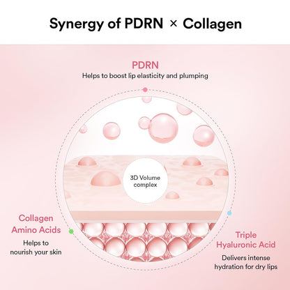 Abib PDRN Collagen Lip Mask Glazed Jelly | Hydrating & Plumping Lip Treatment for Smooth, Glossy, Healthy Lips - T.E.R