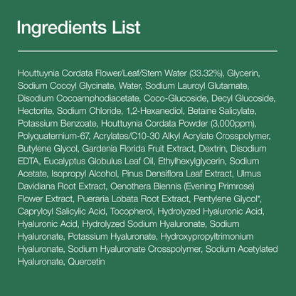 Anua Heartleaf Quercetin Pore Deep Cleansing Foam | Gentle Cleansing for Acne - Prone Skin - T.E.R