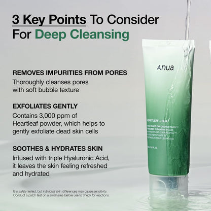 Anua Heartleaf Quercetin Pore Deep Cleansing Foam | Gentle Cleansing for Acne - Prone Skin - T.E.R