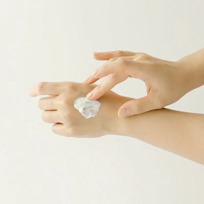 Beauty of Joseon Relief Sun | SPF50+ PA++++ | Rice + Probiotic Daily Sunscreen - T.E.R