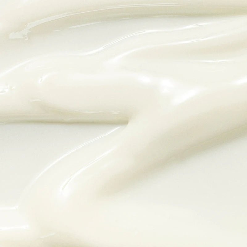 Beauty of Joseon Relief Sun | SPF50+ PA++++ | Rice + Probiotic Daily Sunscreen - T.E.R