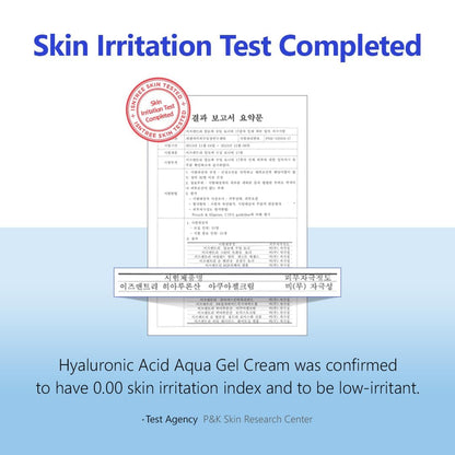 IsNtree Hyaluronic Acid Aqua Gel Cream | Lightweight Hydration for Oily and Combination Skin - T.E.R
