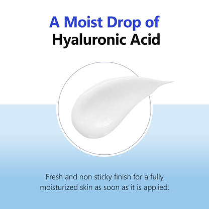 IsNtree Hyaluronic Acid Aqua Gel Cream | Lightweight Hydration for Oily and Combination Skin - T.E.R