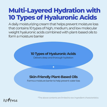 ISNTREE Hyaluronic Acid Moist Cream 100ml | Deep Hydration & Oil - Moisture Balance | Korean Skincare | Non - Greasy & Fast Absorbing - T.E.R