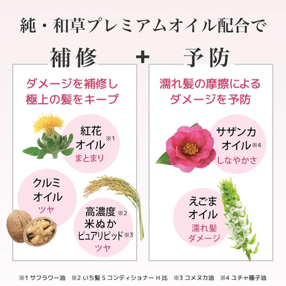 Kracie Ichikami Premium Hair Treatment Mask | Intense Repair and Nourishment for Silky, Strong Hair - T.E.R