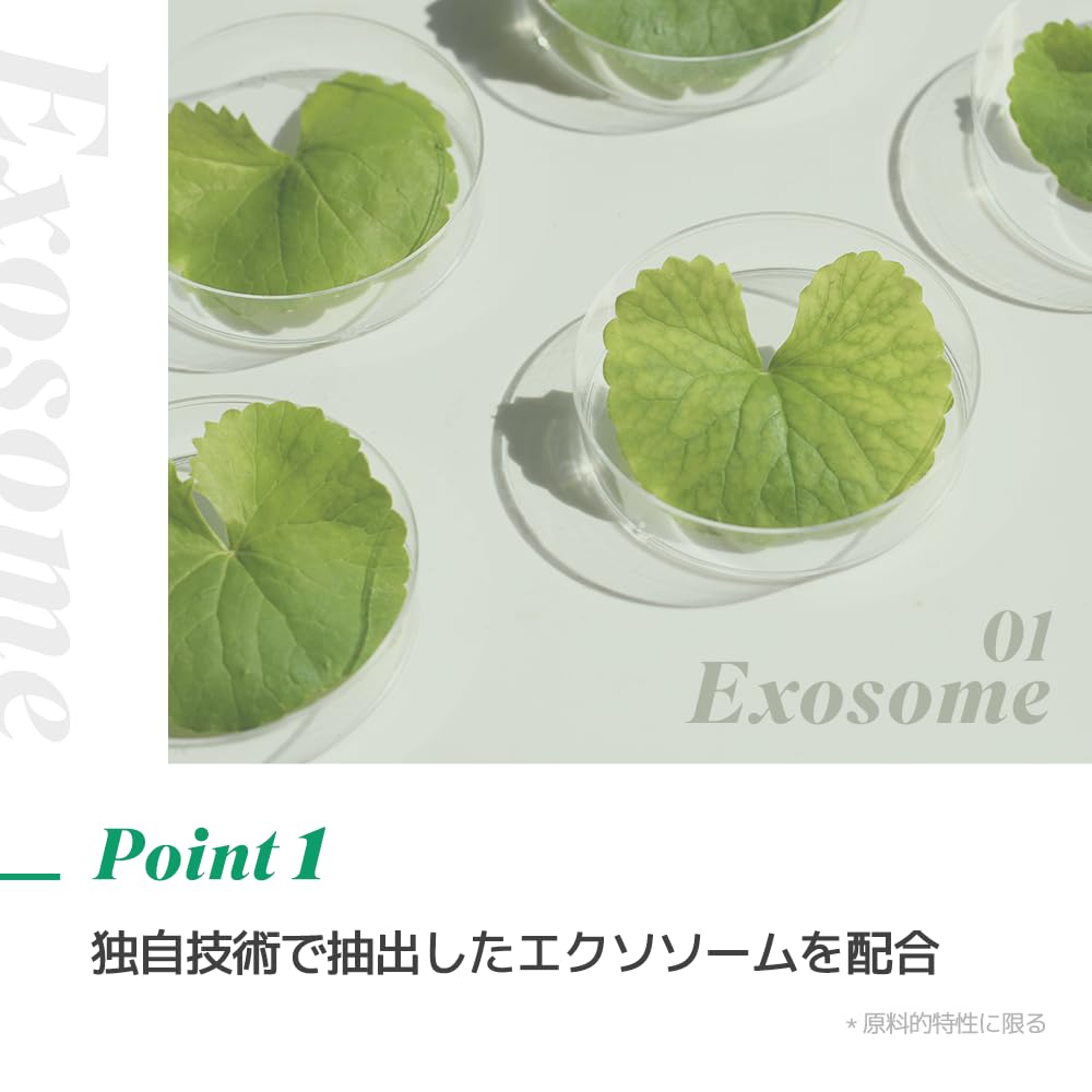 NEOGEN DERMALOGY High R Exosome Cream 40ml | Advanced Repair & Anti - Aging Face Cream with Vegan Exosome Technology | Korean Skincare - T.E.R