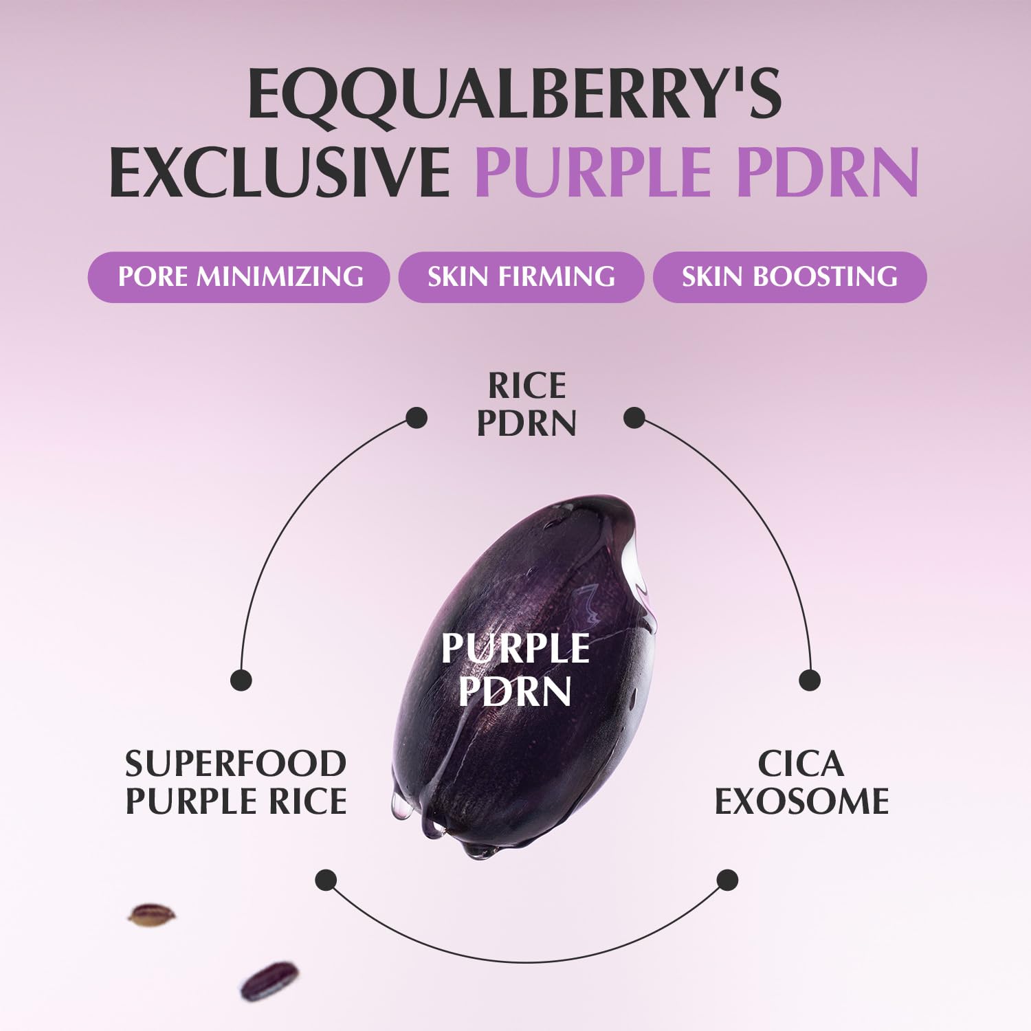 Purple PDRN Pore Minimizing Serum 1.01 FL OZ | Vegan Collagen, Peptides, Niacinamide & CICA Exosome | Pore Tightening, Calming & Glass Skin | Korean Skincare - T.E.R