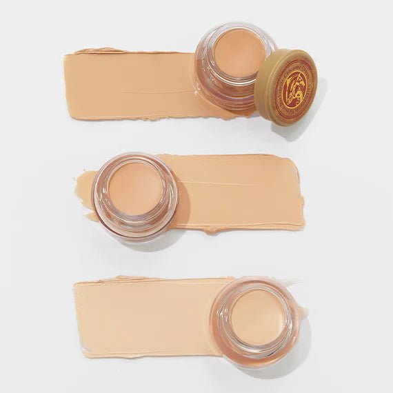 SKINFOOD Salmon Dark Circle Concealer Cream 10g | Full Coverage Eye Brightener for Dark Circles & Wrinkles | Salmon Peptide Corrector | K - Beauty Under Eye Concealer - T.E.R