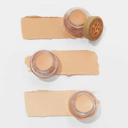 SKINFOOD Salmon Dark Circle Concealer Cream 10g | Full Coverage Eye Brightener for Dark Circles & Wrinkles | Salmon Peptide Corrector | K - Beauty Under Eye Concealer - T.E.R