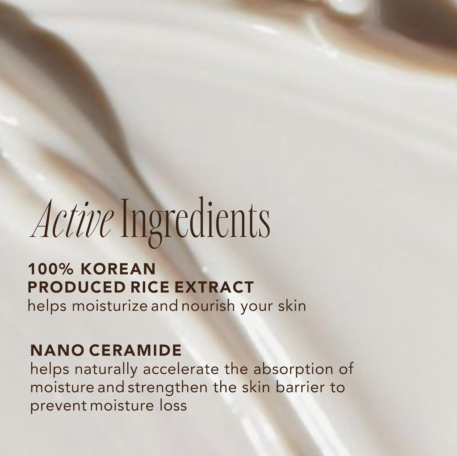 The Face Shop Rice Ceramide Moisturizing Cream | Hydrating & Brightening Korean Skincare - T.E.R